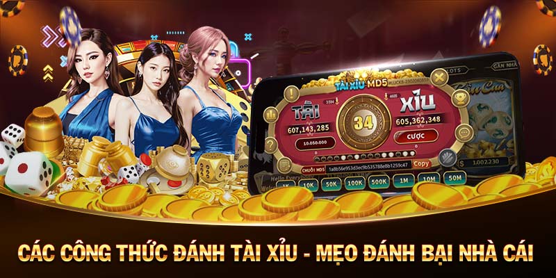 789cul： Bí quyết giúp bạn sống khỏe mạnh và hạnh phúc