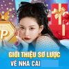 Cửa hàng No Hu Shop – Địa chỉ uy tín cho game thủ may mắn